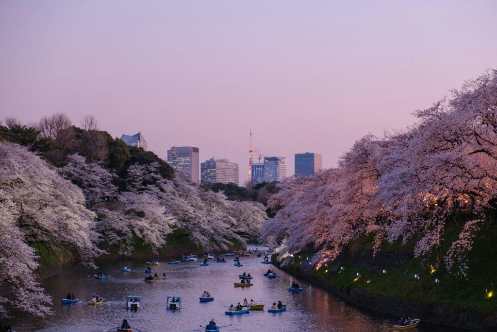 Building life in japan