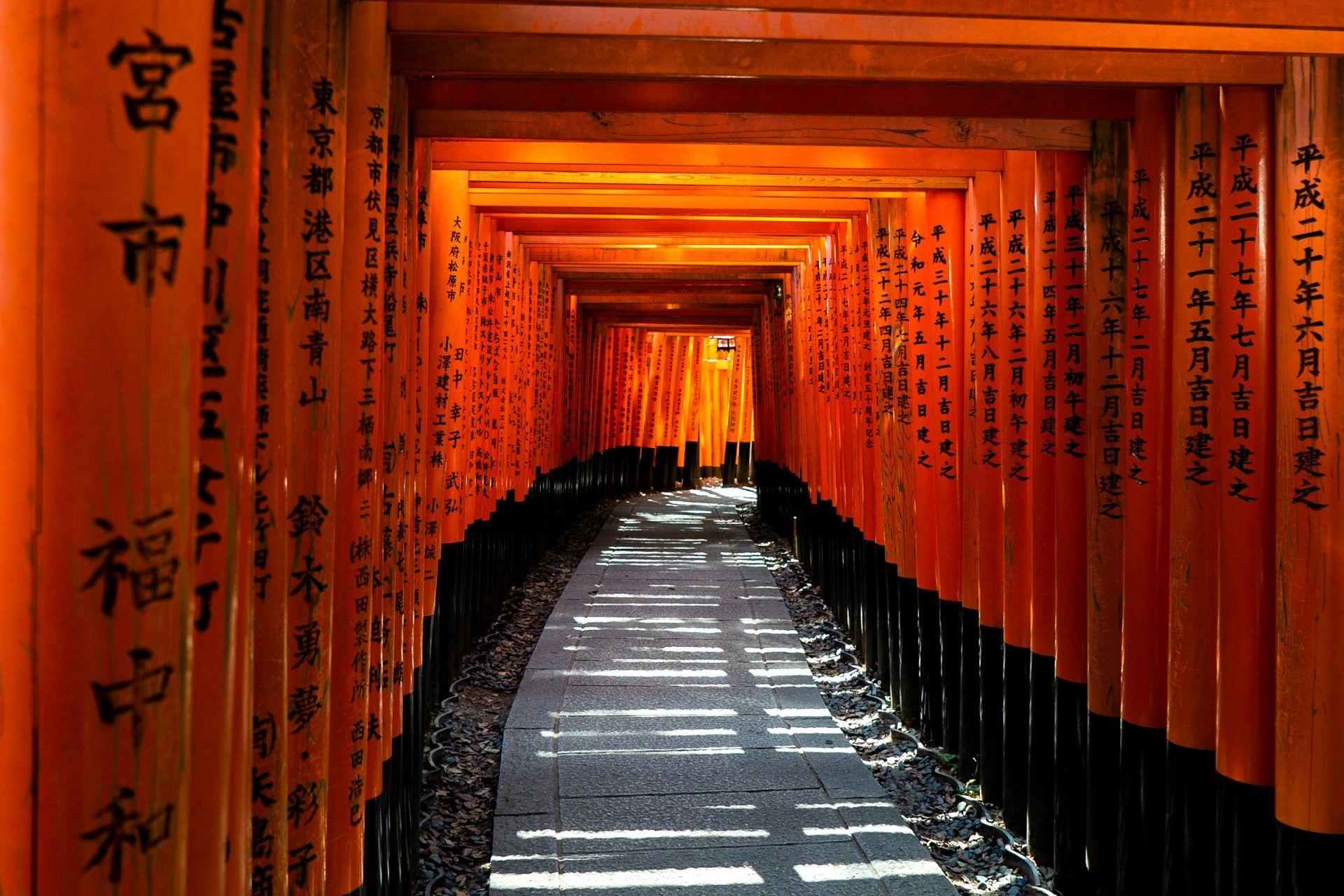 nomad in japan